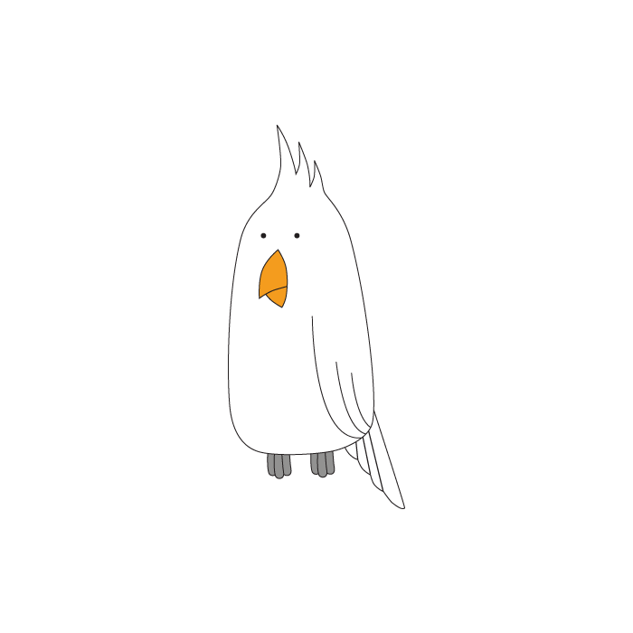 Cockatiel