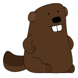 Beaver