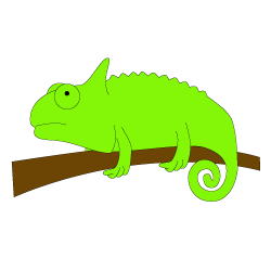 Chameleon