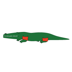 Crocodile