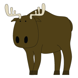 Moose