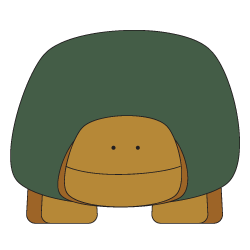 Tortoise