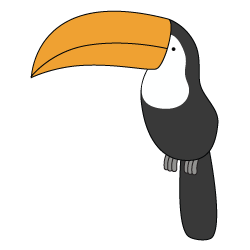 Toucan