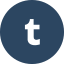 Tumblr icon